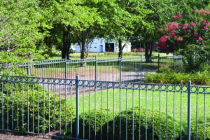 custom iron fence