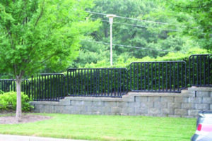 custom iron fence